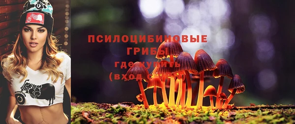 Альфа ПВП Абдулино