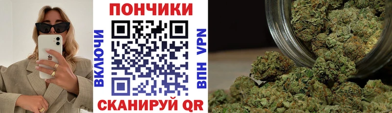 мега как войти  Западная Двина  Конопля Amnesia 